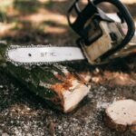 Schneiden der Bäume