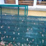 Doppelstabmattenzäune