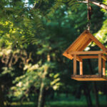 Vogelhäuschen im Garten